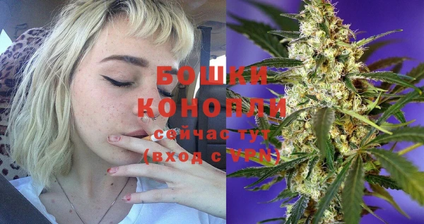 spice Балахна